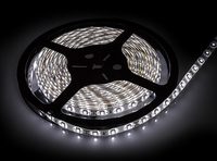 Лента сд LS 35WW-60/65 60LED 4.8Вт/м 12В IP65 теплый белый 3000K IN HOME IN HOME