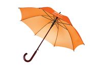 Зонт-трость оранжевый TDM TDM Electric