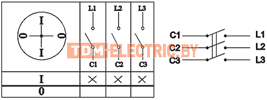 Пакетный выключатель ПВ3-63 3П 63А 220В IP56 TDM.  TDM Electric