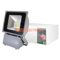 Прожектор светодиодный СДО70-1 70Вт, 6000 К, IP65, серый, TDM. SQ0336-0005 TDM Electric