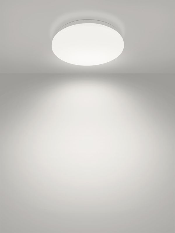 Светильник LED потолочный ДПБ 01, 24 Вт, 4000 К, Классика, TDM