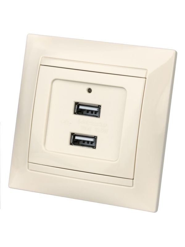 Розетка 2USB порт 2,1А 5В сл. кость «Лама» TDM
